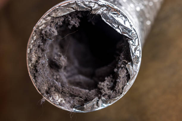 Best Local Air Duct Cleaning Services  in Wolfdale, PA